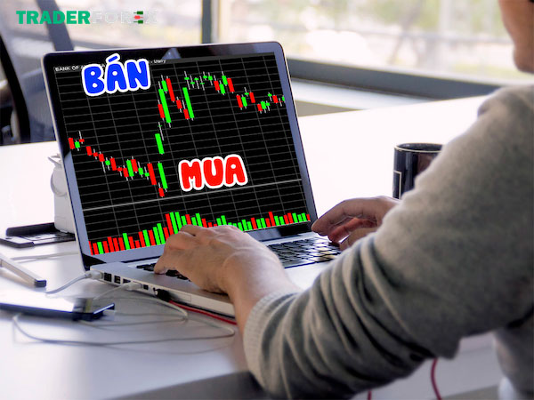 Giúp phân tích quá trình đột phá giá