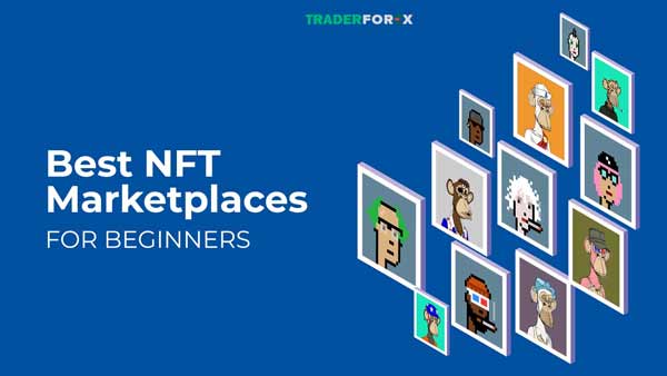 bake-coin-la-gi-8 NFT Marketplace