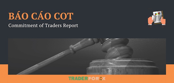 bao-cao-cot-1 Tổng quan về báo cáo COT - Commitment of Traders Report
