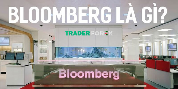 bloomberg-la-gi-3 Các nền tảng khác Bloomberg