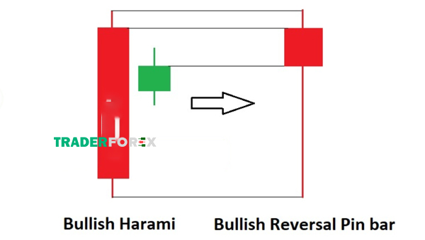 bullish-harami-la-gi-3 Hình dáng của mô hình Bullish Reversal Pin bar