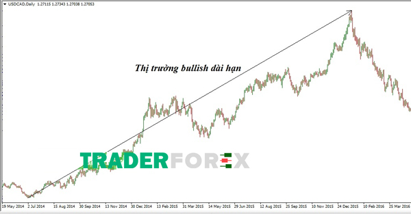 Bullish Market dài hạn