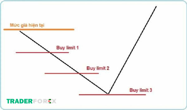 buy-limit-la-gi-3 Phương pháp thực hiện lệnh chờ với chiến lược rải đinh