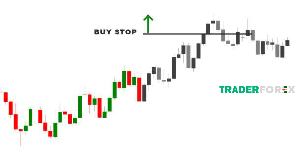 buy-stop-4 Phần xanh và đỏ mô tả diễn biến tính đến hiện tại và màu xám là tương lai có thể xảy ra