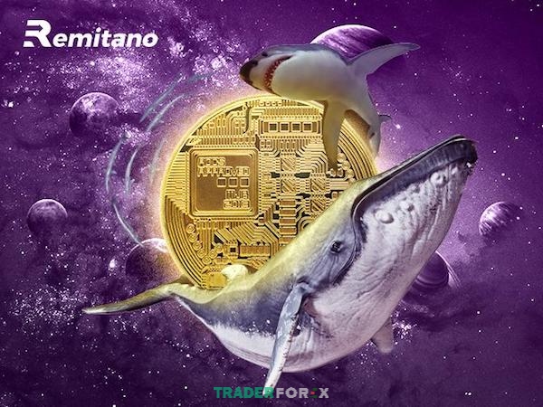 ca-map-trong-forex-1 Các nhóm cá mập khác nhau có mức độ ảnh hưởng đến thị trường không giống nhau