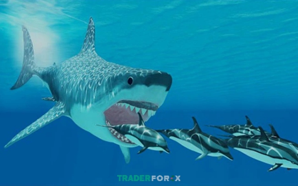 ca-map-trong-forex-5 Cá mập trong Forex tác động mạnh mẽ đến thị trường