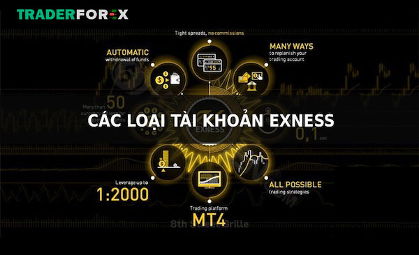 cac-loai-tai-khoan-exness-31 Phân biệt sự khác nhau giữa các loại tài khoản
