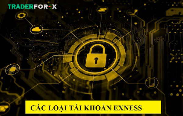 cac-loai-tai-khoan-exness-33 Lựa chọn tài khoản giao dịch tại sàn giao dịch Exness