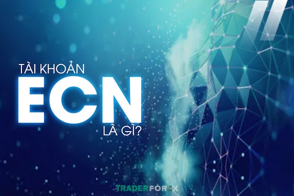 cac-loai-tai-khoan-forex-2 Tài khoản ECN cung cấp môi trường giao dịch minh bạch và không bị can thiệp