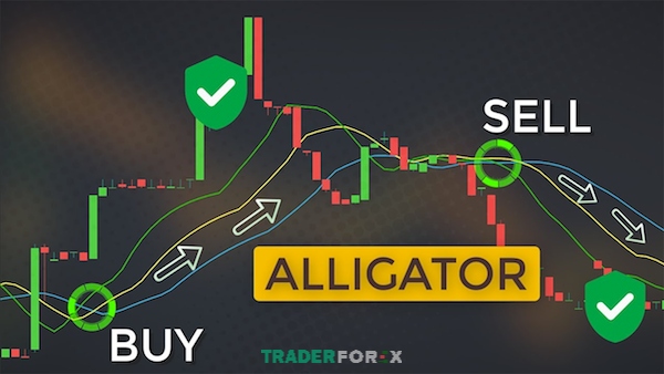 chi-bao-alligator-11 Tìm hiểu chỉ báo Alligator là gì sẽ giúp nhà đầu tư có những giao dịch chính xác hơn