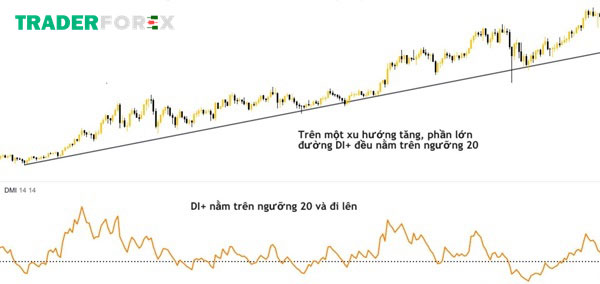 chi-bao-dmi-13 Đường DI+ là gì?