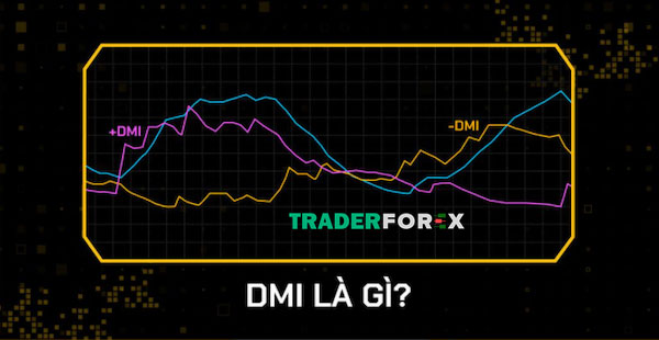 chi-bao-dmi-2 Những thông tin liên quan đến DMI