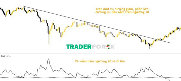 chi-bao-dmi-5 Đường DI- là gì?