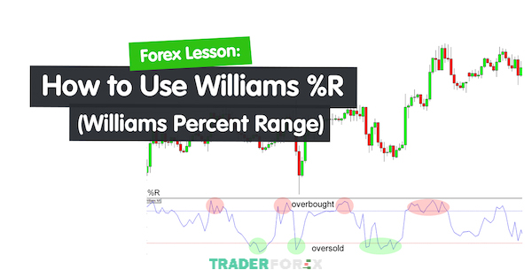 chi-bao-williams-percent-range-7 Chỉ báo Williams Percent Range và cách hoạt động của nó
