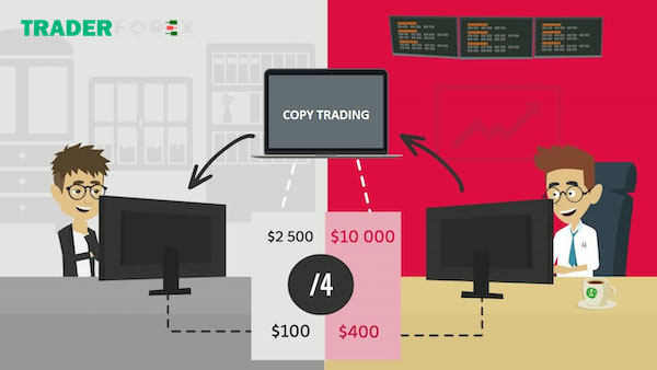 Lý do bạn nên thực hiện copy trade