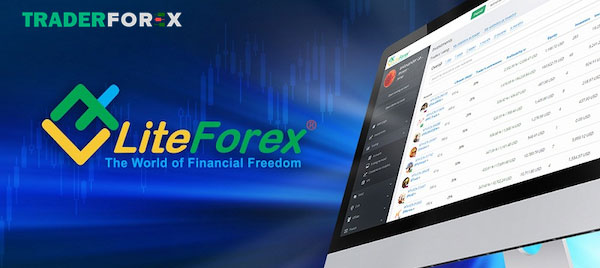 Lựa chọn hoàn hảo cho nhà đầu tư copy trade