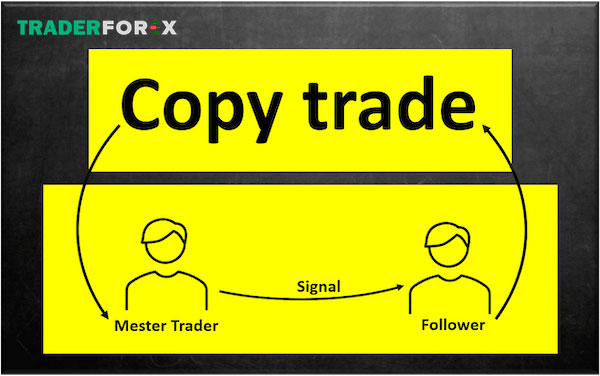 Tìm kiếm các nhà đầu tư chuyên nghiệp để thực hiện copy trade