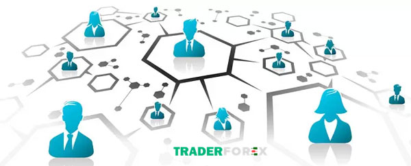 Có nên tiến hành Copy Trade tại Exness hay không?