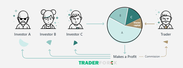 Cần bao nhiêu vốn để thực hiện Copy Trade Exness