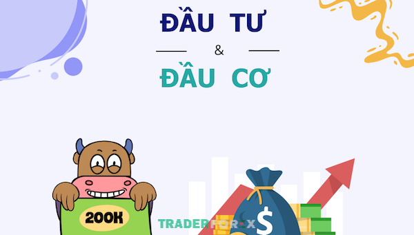 dau-co-la-gi-3 Đầu tư và đầu cơ khác nhau như thế nào?