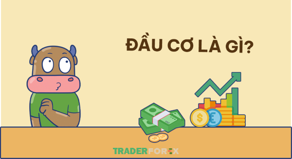 dau-co-la-gi-5 Tìm hiểu thuật ngữ đầu cơ trong giao dịch chứng khoán