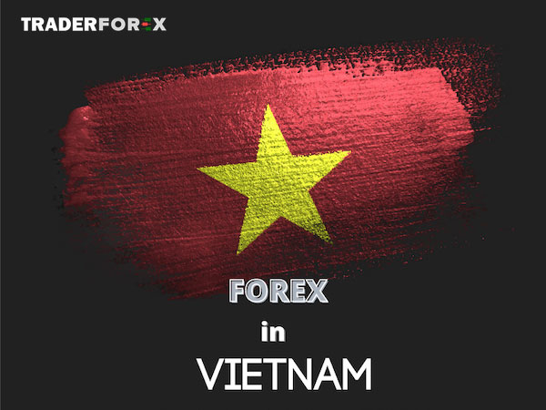 dau-tu-forex-co-hop-phap-3 Hoạt động Forex tại thị trường Việt Nam