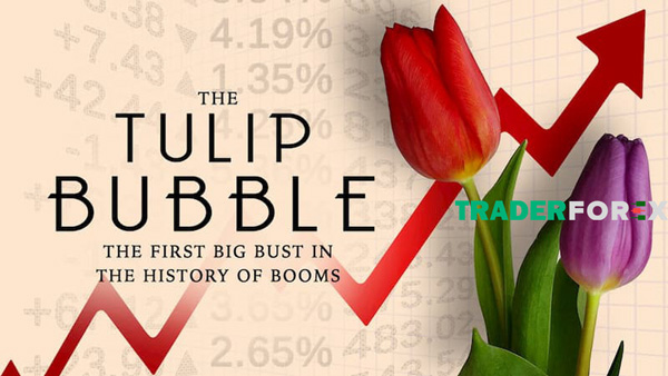 dau-tu-vang-6 Bong bóng hoa Tulip vào thế kỉ 17
