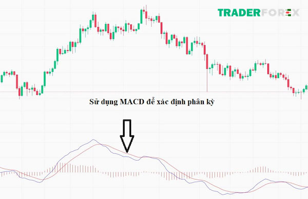 divergence-la-gi-21 MACD