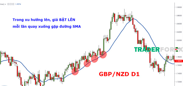 duong-ma-la-gi-15 Cặp tiền GBP/NZD với đường SMA 20 màu xanh