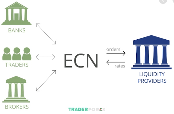 ecn-la-gi-4 Mọi lệnh giao dịch được thực hiện trên sàn ECN được chuyển thẳng ra thị trường