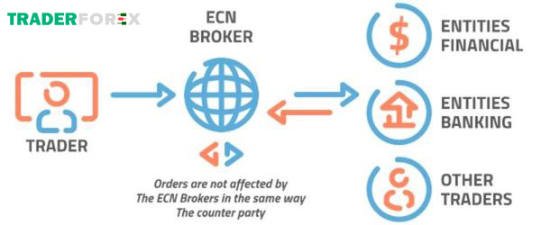 ecn-la-gi-5 ECN là một lựa chọn lý tưởng cho các nhà đầu tư vì minh bạch, rõ ràng