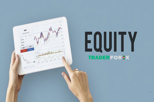 equity-la-gi-14 Hình thức góp vốn