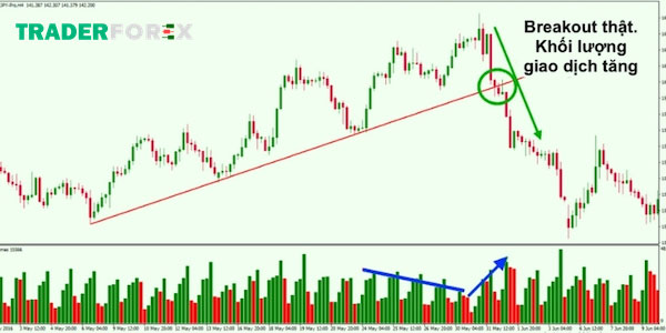 false-breakout-la-gi-1 Tìm hiểu về False Breakout