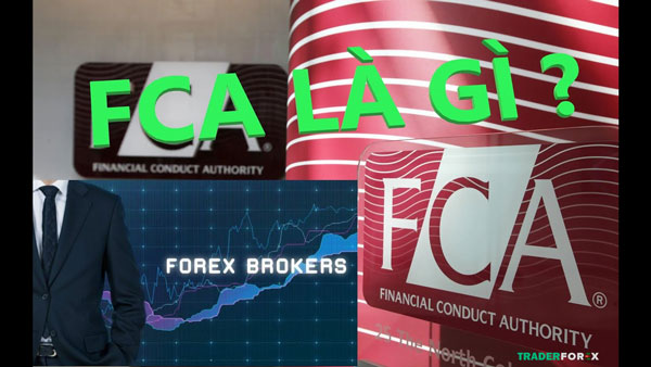fca-la-gi-13 Mục tiêu hoạt động của FCa là gì?