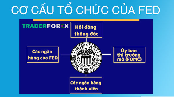 fed-la-gi-4 Cơ cấu tổ chức của tổ chức FED
