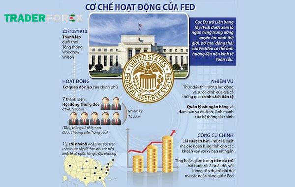 fed-la-gi-8 Cơ cấu và cơ chế hoạt động của FED