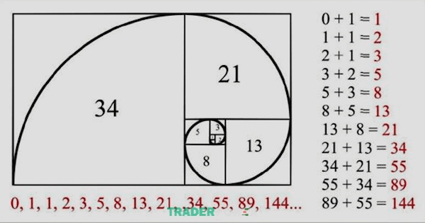 fibonacci-la-gi-2 Quy tắc tạo ra dãy Fibonacci vô cùng đơn giản