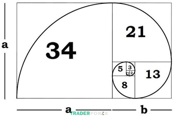 fibonacci-la-gi-4 Fibonacci cũng có tỷ lệ vàng như các lĩnh vực khác