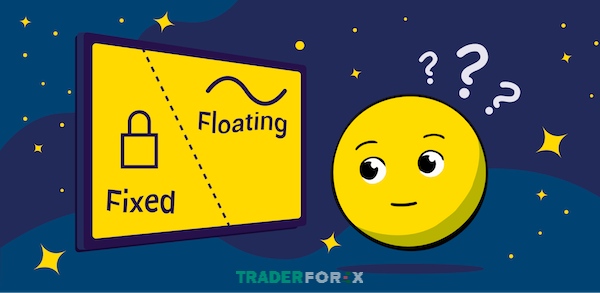 floating-exchange-rate-la-gi-1 Các quốc gia có thể áp dụng hai hệ thống này để định giá đồng tiền