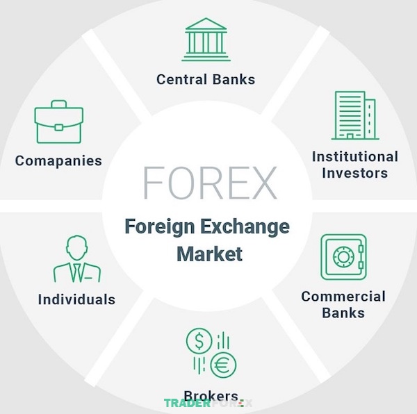 forex-la-gi-4 Các thành phần tham gia vào thị trường