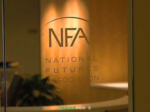 NFA có vai trò quan trọng như thế nào?