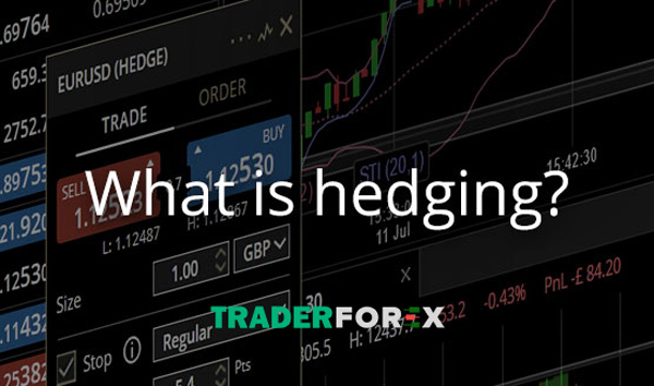 hedging-la-gi-1 Hedging - phương pháp giảm thiểu rủi ro