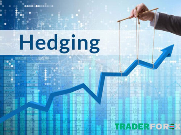 hedging-la-gi-4 Cần nhận biết và hạn chế những sai lầm trong quá trình sử dụng Hedging