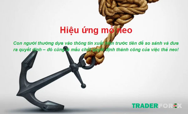 hieu-ung-mo-neo-9 Chúng ta có thể hiểu hiệu ứng mỏ neo như thế nào?