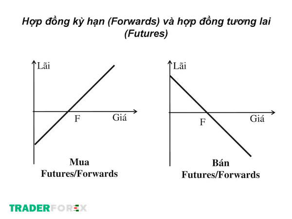 hop-dong-ky-han-la-gi-4 Sự khác biệt cơ bản giữa hợp đồng kỳ hạn và hợp đồng tương lai