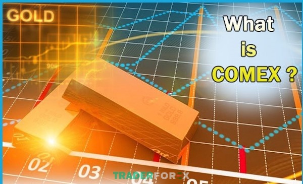 Những sàn giao dịch được ưa chuộng nhất hiện nay