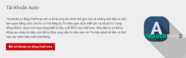hotforex-14 Auto Account