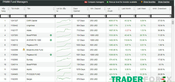 hotforex-17 Lựa chọn các nhà quản lý tại Hotforex PAMM