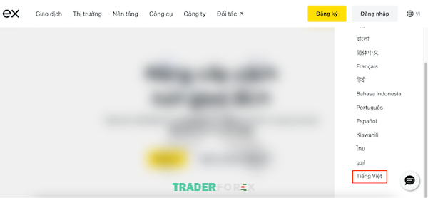 Thay đổi ngôn ngữ tiếng Việt để quá trình đăng ký thuận lợi hơn