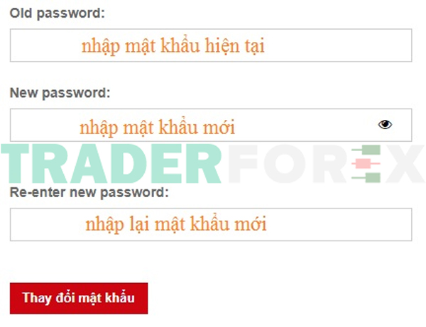 huong-dan-mo-tai-khoan-hotforex-18 Nhập lại mật khẩu hiện tại và điền mật khẩu mới